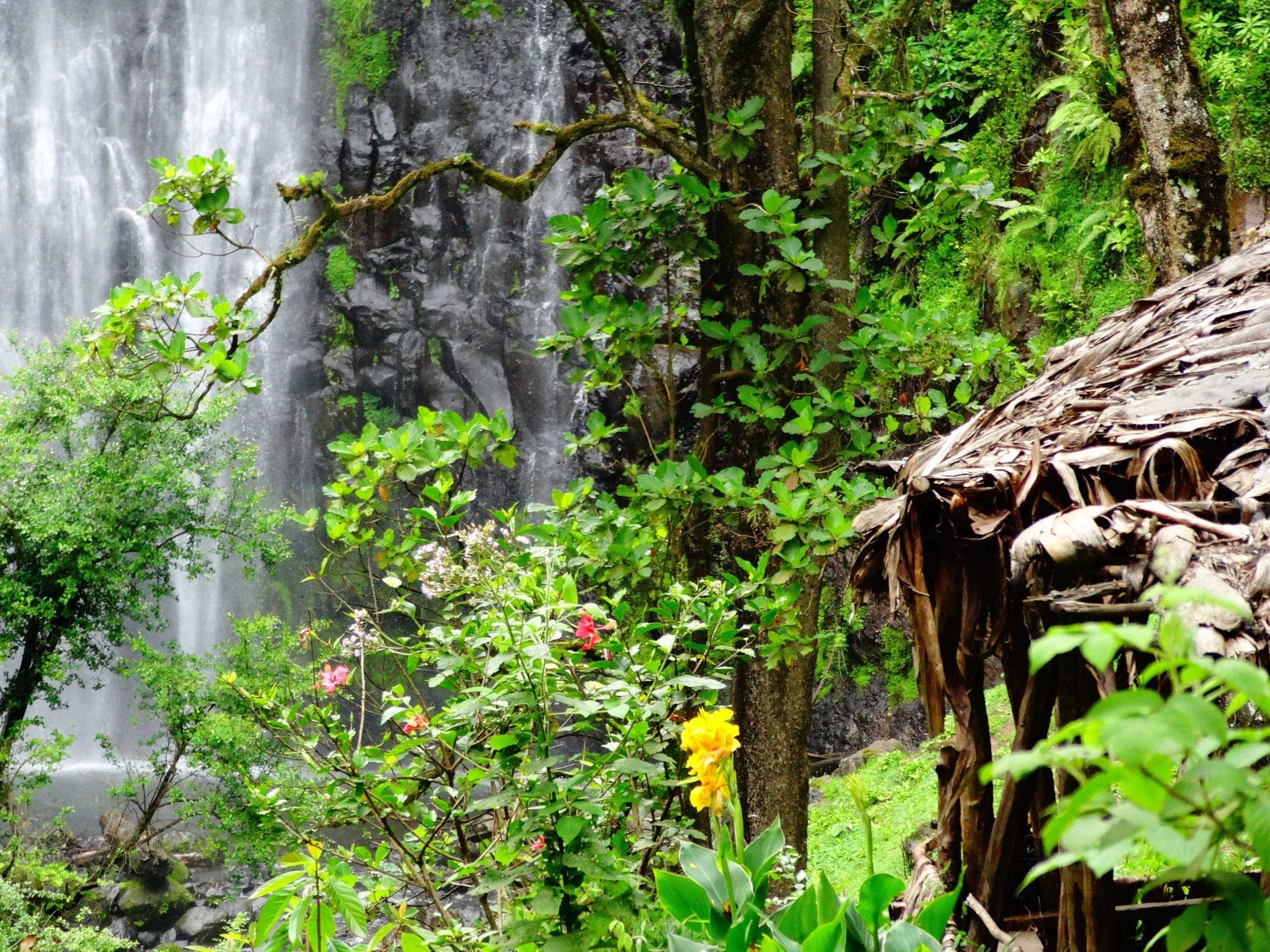 Moshi Tanzania Travel